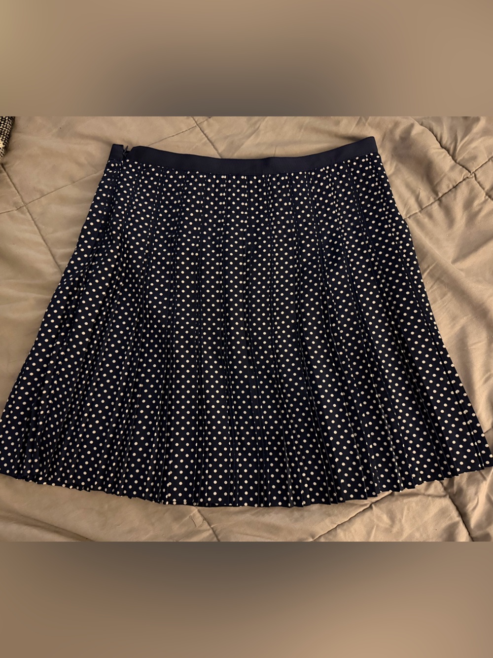 J. Crew Navy Polka Dot Pleated Skater Skirt